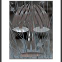 QUESTING EYES photo 66 x 83 cm